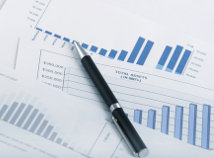 Reverse Management Associates - Corporate Financial Management